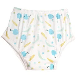 Adjustable & Washable Cloth Diaper Panty 2 Pk Dinosaurs And Fish Multicolour