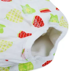 Baby Moo Fruity Reusable Cloth Training Diaper Panty - Multicolour