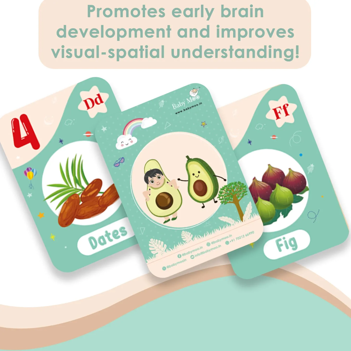 Baby Moo Fun With Food Numbers & Alphabets Montessori Set Of 10 Flash Cards - Green, Peach
