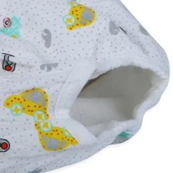 Baby Moo Vehicle Reusable Cloth Training Diaper Panty - Multicolour