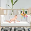 Big Eyed Multicolour Hanging Pulling Toy With Teether