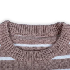 Dashing Dino Striped Premium Full Sleeves Knitted Sweater - Greyish Brown