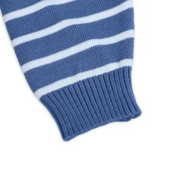 Dashing Dino Striped Premium Full Sleeves Knitted Sweater - Blue