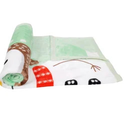 Hello Winter Mint Green Two-Ply Blanket