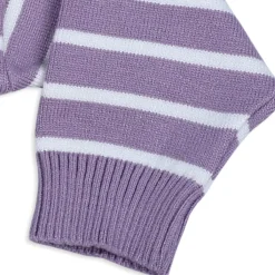 Hopping Rabbit Striped Premium Full Sleeves Knitted Sweater - Purple