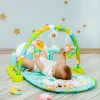 I Love Animals Multicolour Piano Activity Gym