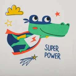 Night Suit Cotton Tshirt And Pyjama Super Frog Grey