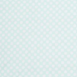 Polka Dotted Blue Blanket