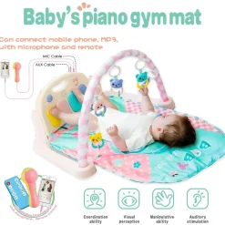 Premium Owl Blue Piano Activity Gym