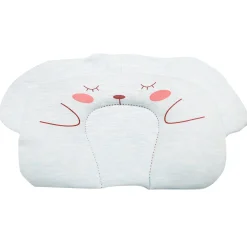 Sleepy Bear Blue Pillow